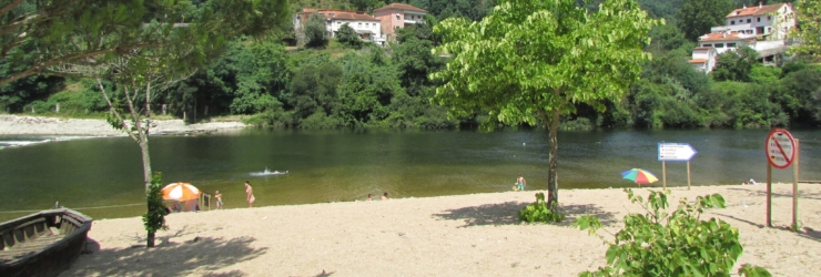 Festival M regressa a Coimbra com músicos de quatro continentes (e entrada livre)